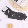 Husky corgi cartoon animal socks French bulldog cute funny women sock summer autumn comfort sweat absorbent cotton calcetines