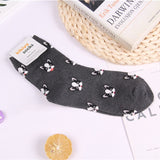 Husky corgi cartoon animal socks French bulldog cute funny women sock summer autumn comfort sweat absorbent cotton calcetines